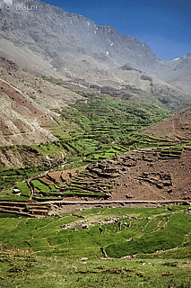081010-0360.jpg