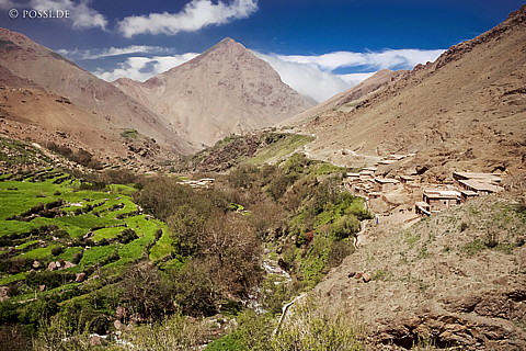 081010-0363.jpg