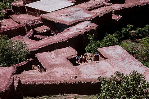 081010-0364.jpg