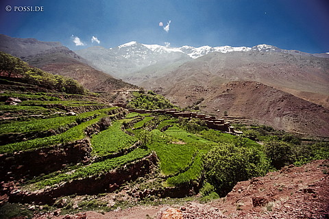 081010-0365.jpg
