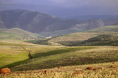 081010-0380.jpg