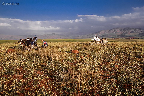 081010-0381.jpg