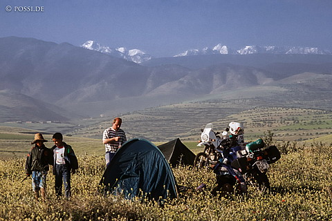081010-0382.jpg
