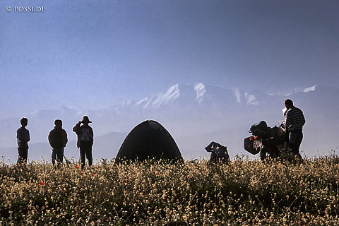 081010-0383.jpg
