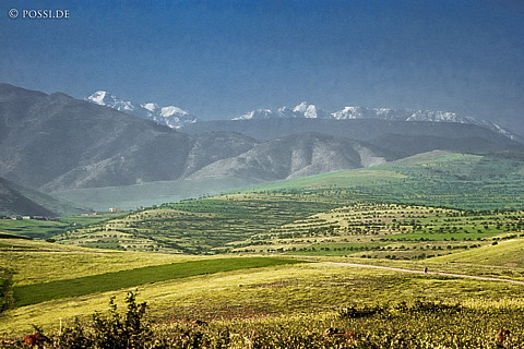 081010-0384.jpg
