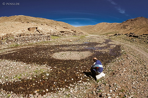 081010-0387.jpg