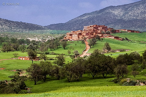 081010-0390.jpg
