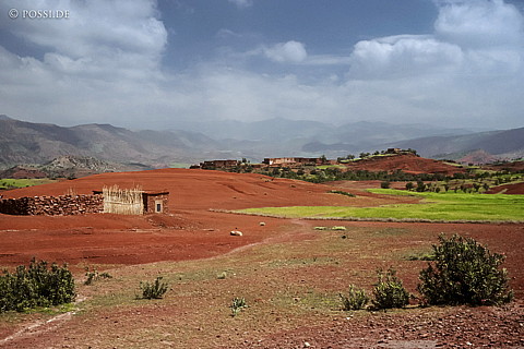 081010-0391.jpg
