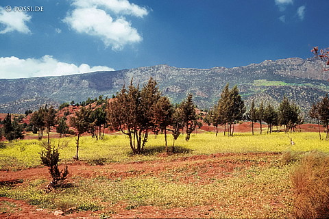 081010-0394.jpg