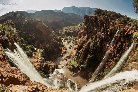 081010-0398.jpg