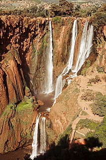 081010-0399.jpg