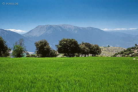 081030-0409.jpg