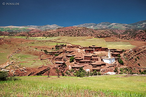 081030-0412.jpg