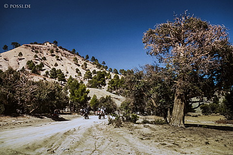 081030-0414.jpg