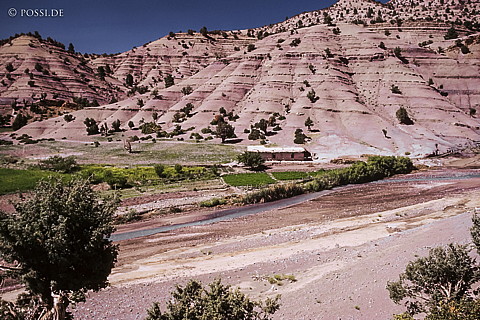 081030-0416.jpg