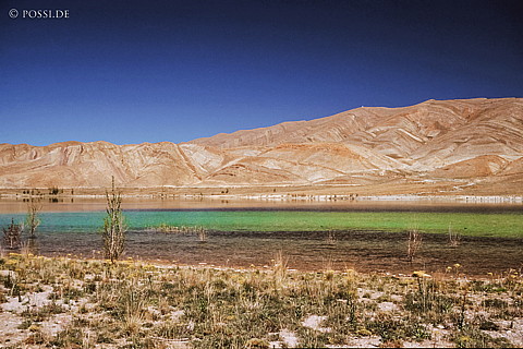 081030-0440.jpg