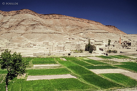 091123-0451.jpg
