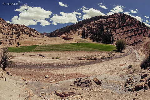 091123-0464.jpg