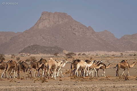 230313-104638-0615.jpg