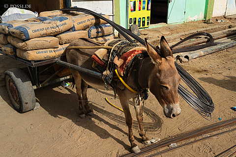 230314-094212-0640.jpg