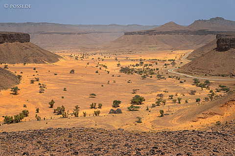 230314-121924-0648.jpg