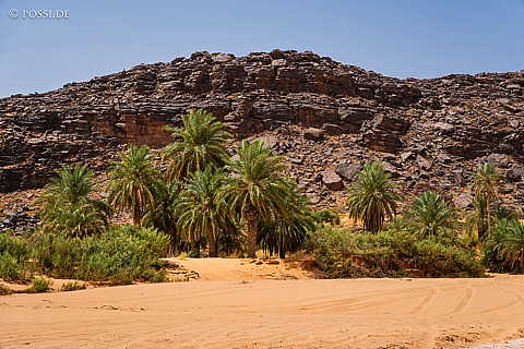 230314-135814-0652.jpg
