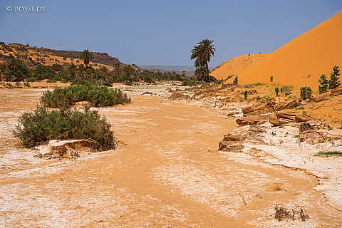 230314-140014-0655.jpg