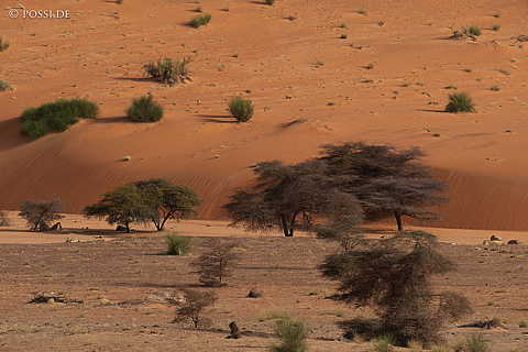 230315-085521-0679.jpg
