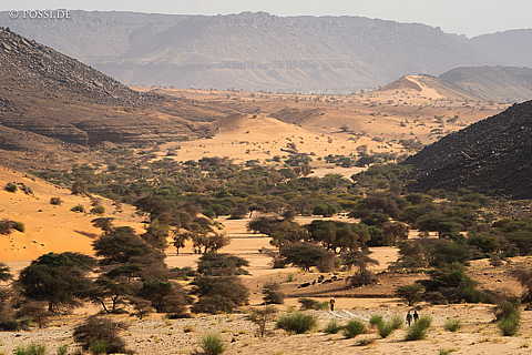 230315-085557-0682.jpg