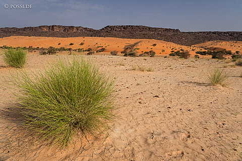 230315-090438-0685.jpg