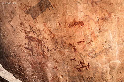 230315-102250-0693.jpg
