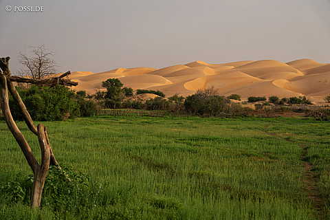230315-173504-0710.jpg
