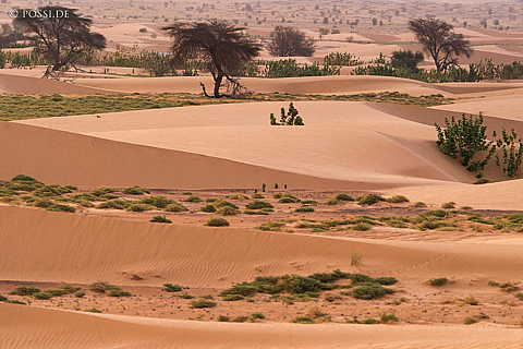 230317-071642-0824.jpg
