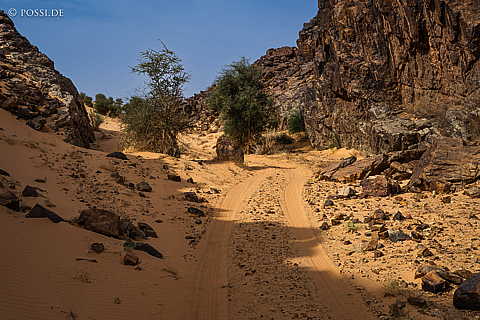 230317-094745-0837.jpg