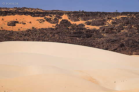 230317-103839-0847.jpg