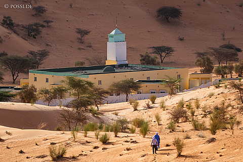 230319-081450-0942.jpg