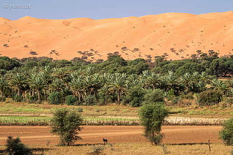 230319-085530-0962.jpg