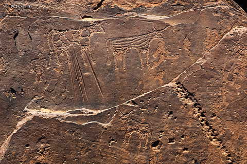 230321-092057-1335.jpg