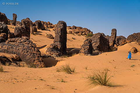 230321-163147-1415.jpg