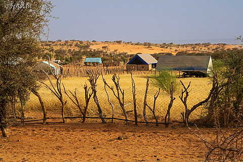 230325-082327-1522.jpg