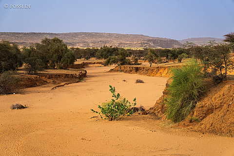 230325-082757-1525.jpg