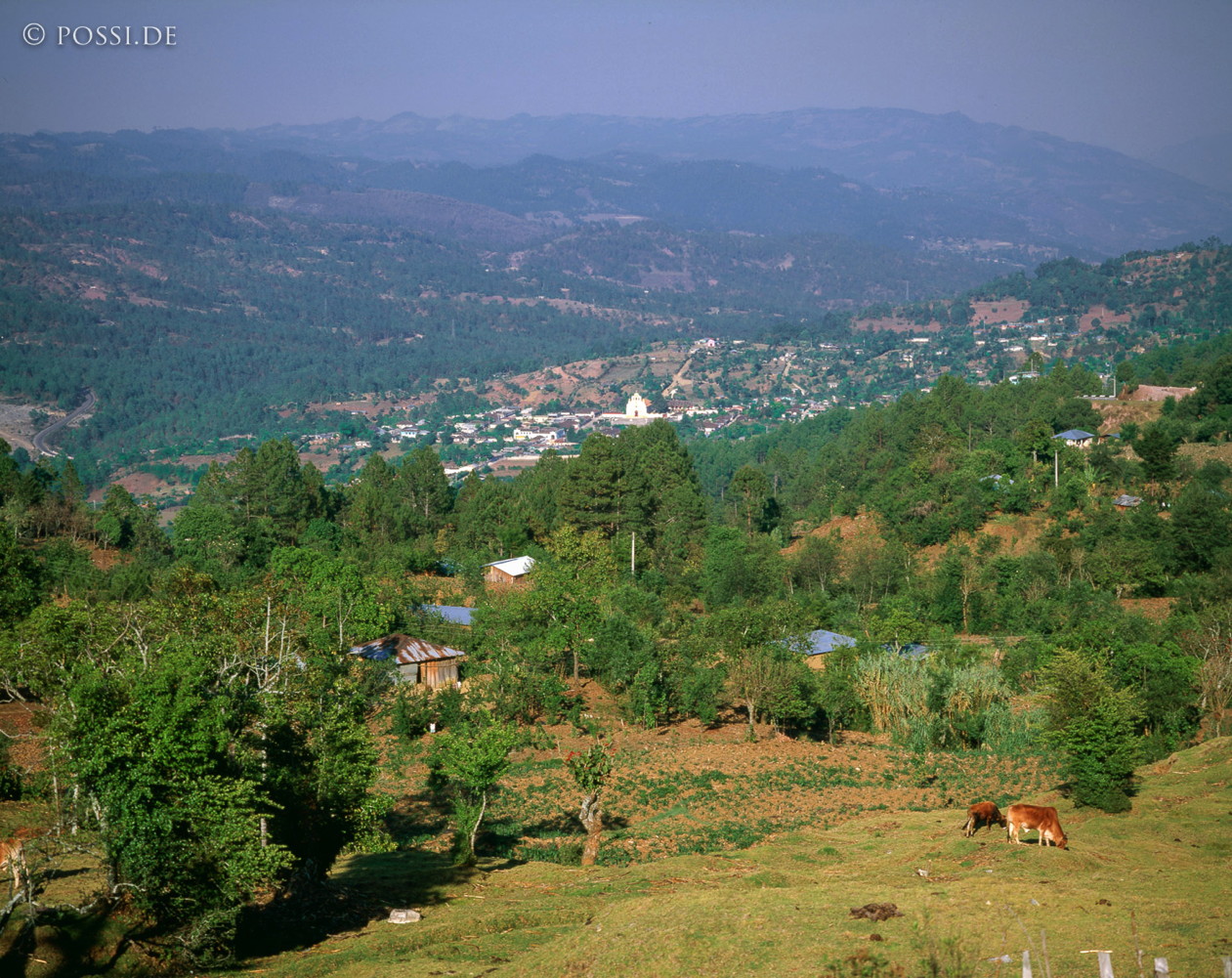 100419-0082.jpg