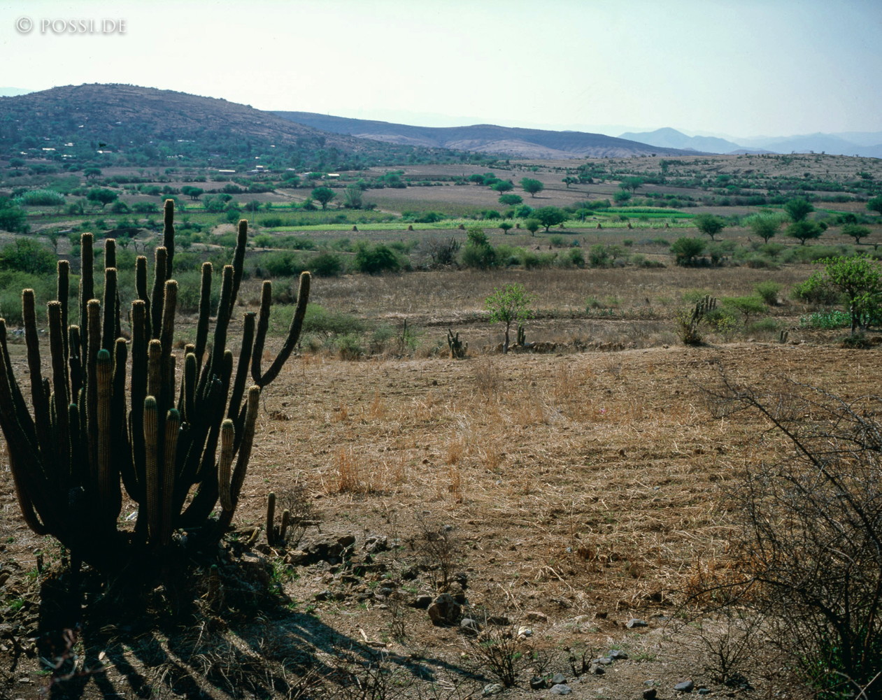 100421-0126.jpg