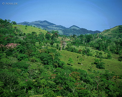 100417-0033.jpg