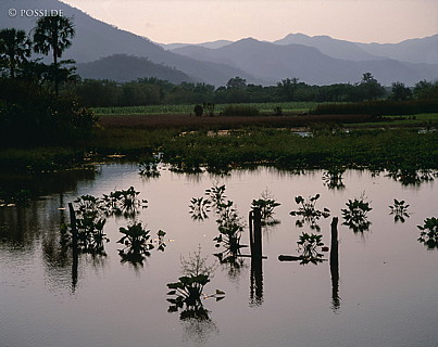 100421-0102.jpg