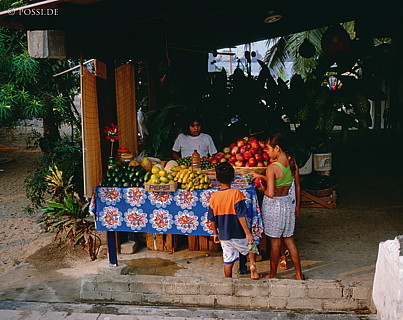 100421-0104.jpg