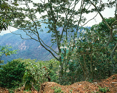 100421-0115.jpg