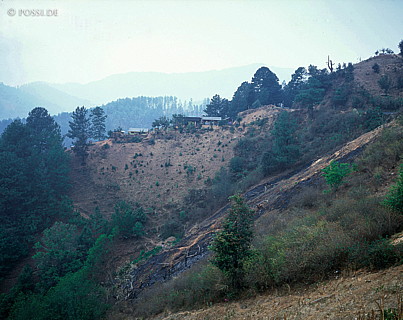 100421-0119.jpg