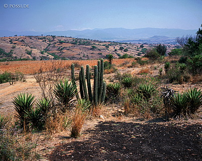 100421-0123.jpg