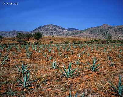 100421-0124.jpg